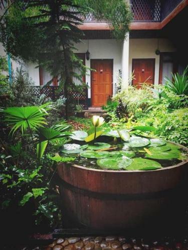 Posada Three Seasons Inn & Spa