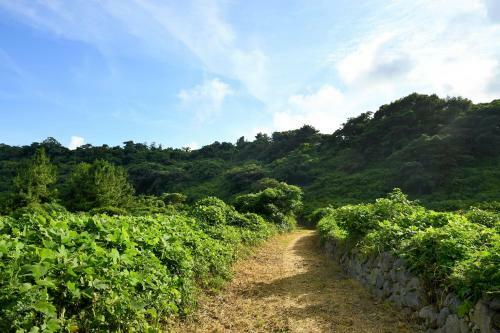 Hidden Cliff Hotel And Nature