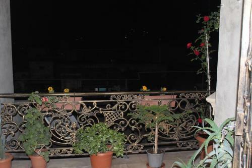 My Home Hostel