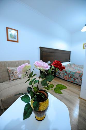 Vu-dent Apartments