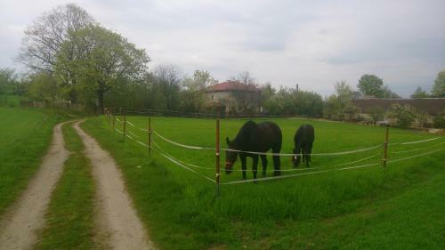 Agroturismo Nasza Wioska