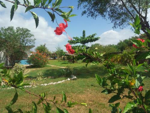 Hostal Fred Hunters Villa