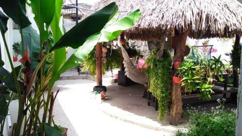 Hostal Solsticio Guajiro