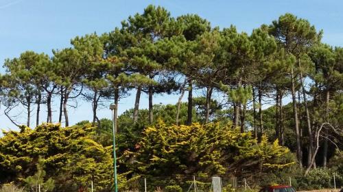 Apartamentos Appartement L'archippel & Ses 2 V�los
