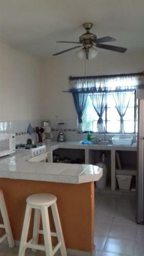 Casa Palmera