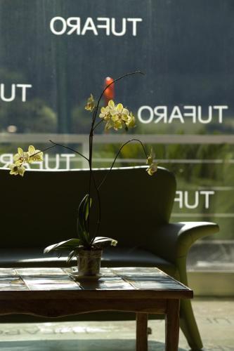 Hotel Terme Del Tufaro