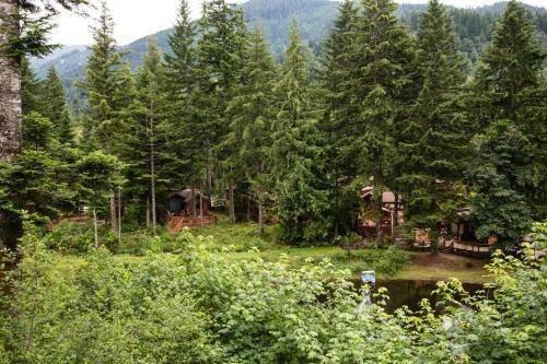 Mount Hood Village Deluxe Cabin 8
