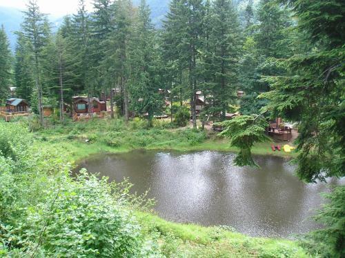 Mount Hood Village Deluxe Cabin 6