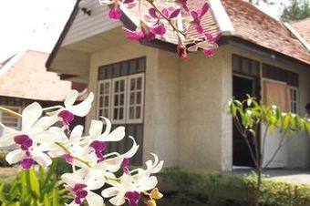 Hotel Khao Yai Country Hill Resort
