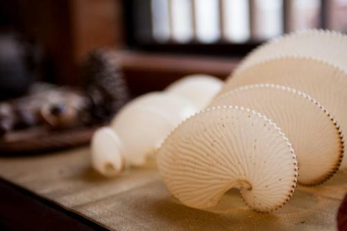 Minshuku Tsukasa