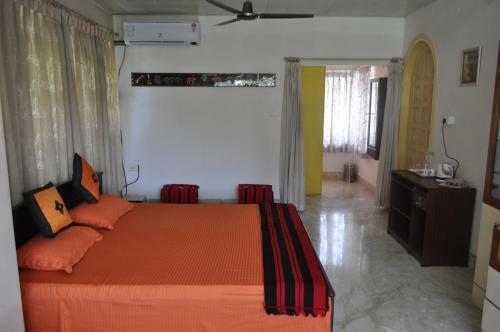 Saikia Nest