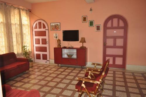 Saikia Nest