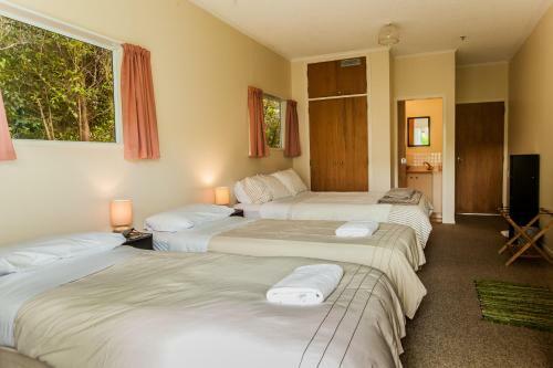 Ocean View Raglan B&B