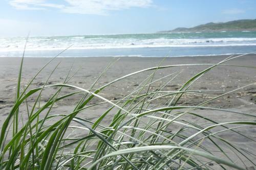 Ocean View Raglan B&B