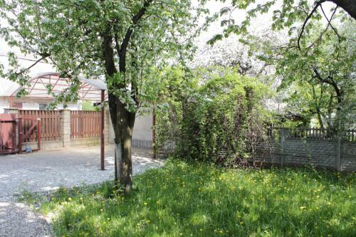 Hostal Jasmin Guest House