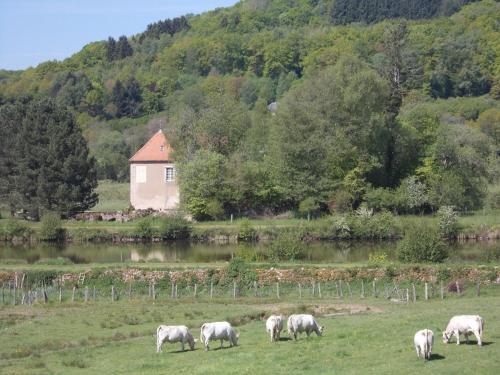 Hotel Auberge Du Morvan
