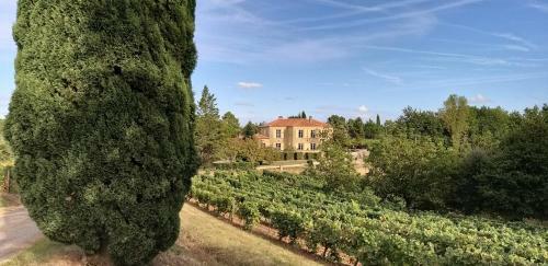 Bed & Breakfast Ch�teau De Rouffiac