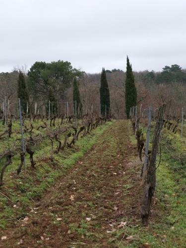 Bed & Breakfast Ch�teau De Rouffiac