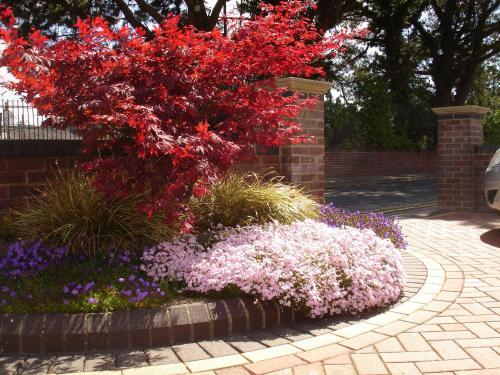 Hostal Pineview Guesthouse