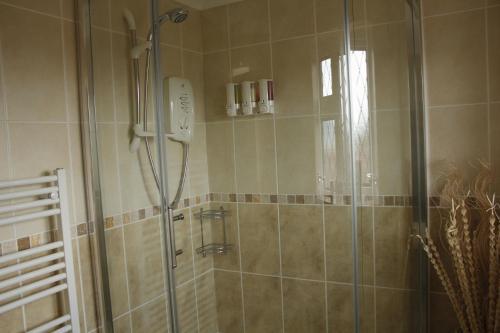 Hostal Pineview Guesthouse