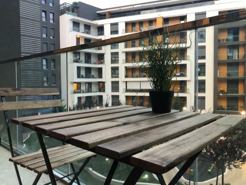 The Muse Apartments