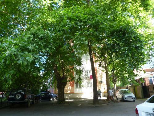 Apartamento Kvartira