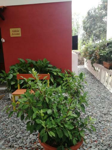 Bed & Breakfast Aldeia Jerome