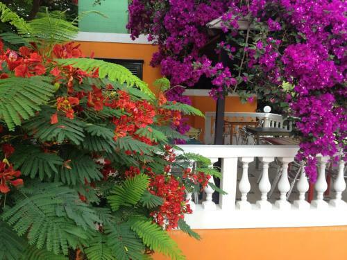 Bed & Breakfast Aldeia Jerome