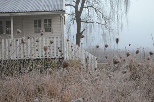 Bed & Breakfast The Goose House