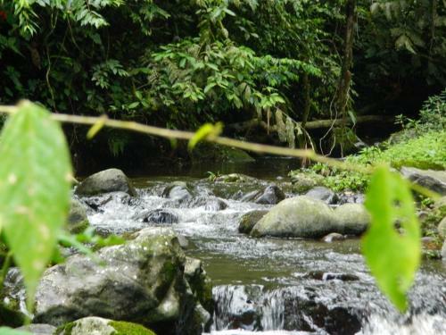 Hostal Sierra Morena Eco Hotel