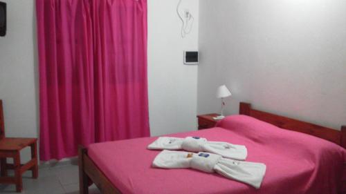 Fiambala Caba�as Pissis