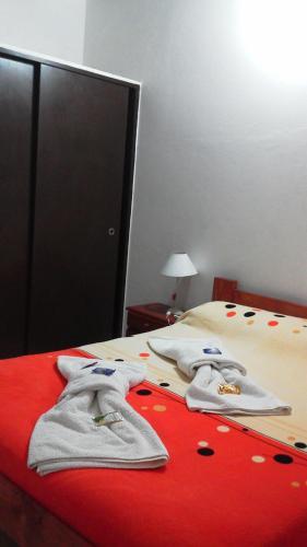 Fiambala Caba�as Pissis