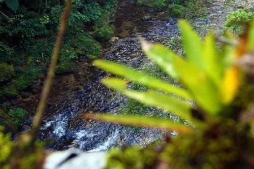 Hostal Ref�gio Ecol�gico Amadamata