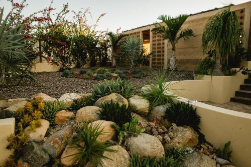 Casa Corazon Todos Santos