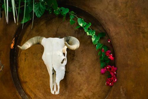 Casa Corazon Todos Santos