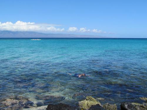 Apartamento Polynesian Shores #101