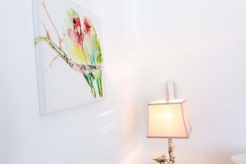 Cattleya's New Kingston Guest Apartment