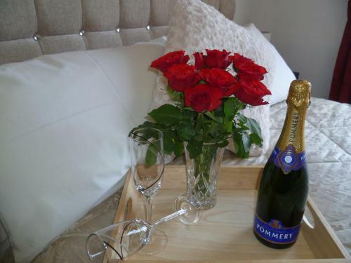 Bed & Breakfast Aberllynfi House