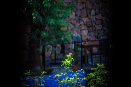 Hotel Tian's Resort