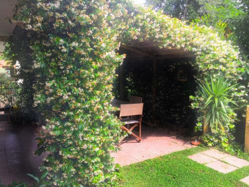Le Pinette B&B