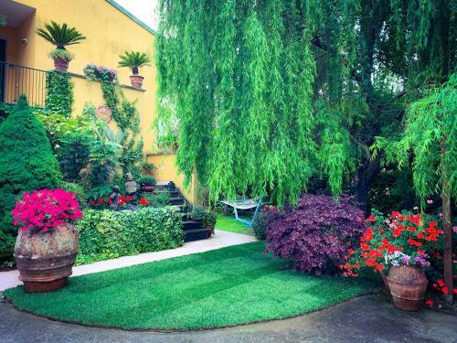 Le Pinette B&B