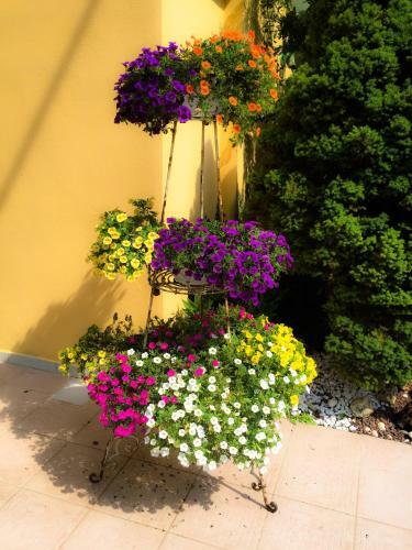 Le Pinette B&B