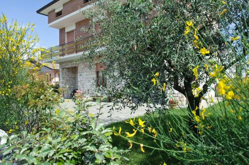 La Residenza Di Bacco