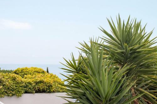 Villa El Horizonte