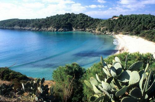 Apartamento Bilocale Le Piscine