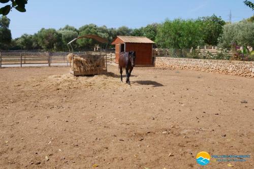 Finca Can Tort
