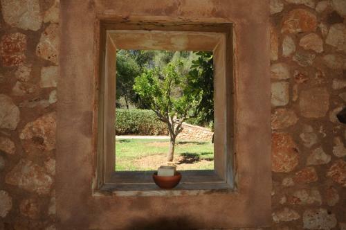 Finca Can Tort