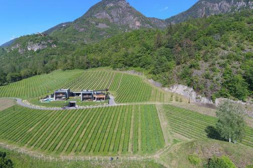 Chalet Eichenstein Im Weinberg