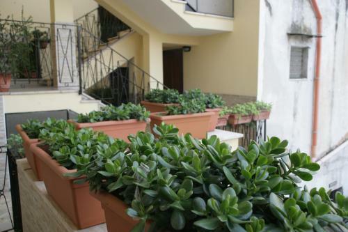 Apartamento Casa Carmen