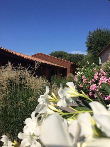 Apartamento R�sidence St Pierre